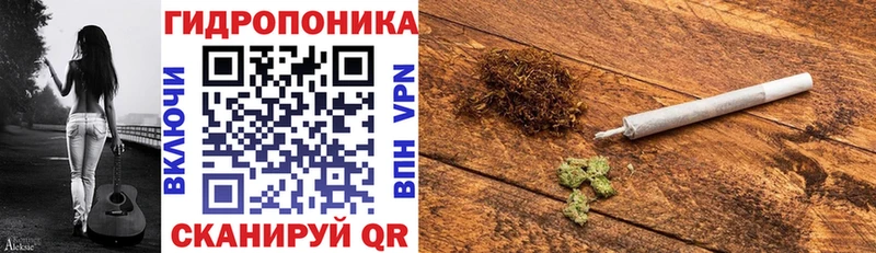 Шишки марихуана план  Черноголовка 